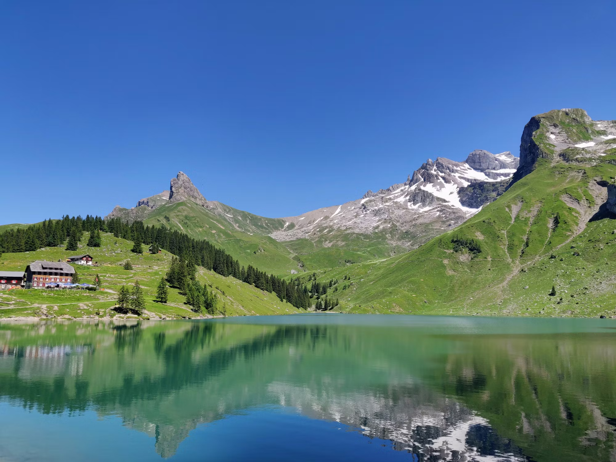 料理の旅: 世界の味を発見する